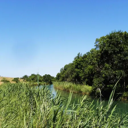 Am Fluss Gelegenes Haus Mit Galerieschlafplaetzen בית נופש